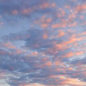 Meet your Posher, Marcy